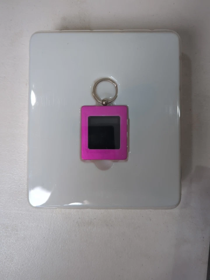 Pink Sharper Image USB 2.0 Digital Photo Keychain 60 Images Charging With Cable  - Image 3 of 3