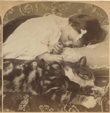 FAMILY CAT + GIRL W/ BOW SLEEPING, VINT STEREOVIEW