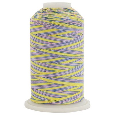 Multicolor 100 Cotton Thread | Variegated Colors for Quilting, Sewing, and Em...