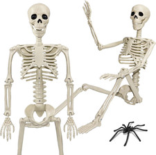 36" Skeleton Halloween Decorations, 3Ft Life Size Human Skeleton with Full Body