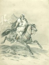 L'enlèvement du Harem, Cheval pur sang arabe  Fantasia  - Dessin original ancien