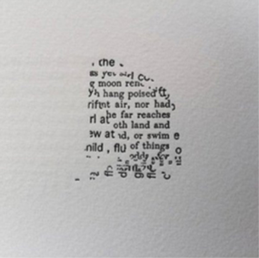 David Grubbs & Susan Howe Frolic Architecture (CD) Album