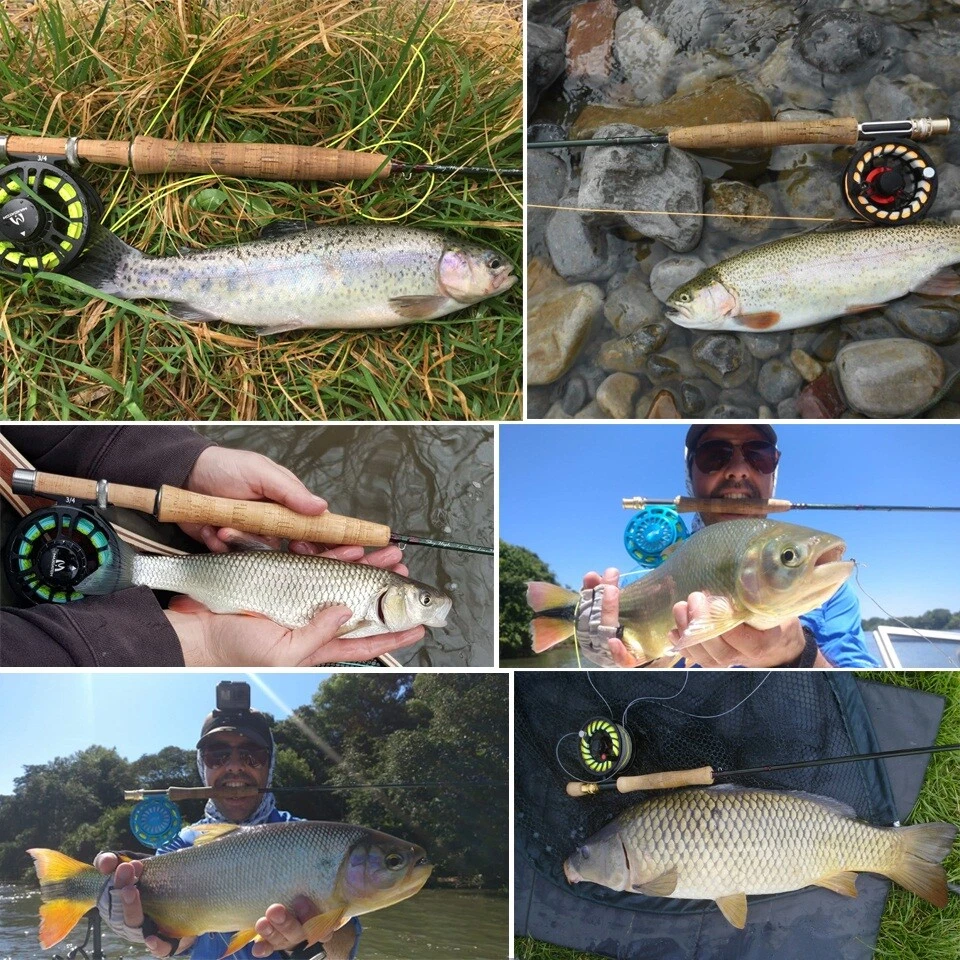 Maxcatch Sky High Fly Rod 2-8wt 4sec IM12 Toray Carbon Best Trout Fly Fishing - Image 4 of 4