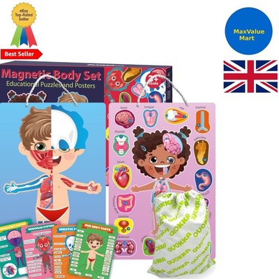 Interaktives Magnetpuzzle für Kinder im Alter von 3-5 Jahren - Entdecken Sie die Anatomie noch heute!