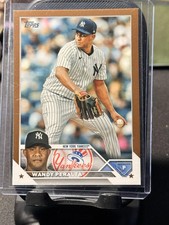 2023 Topps Update #US270 Wandy Peralta Gold #/2023