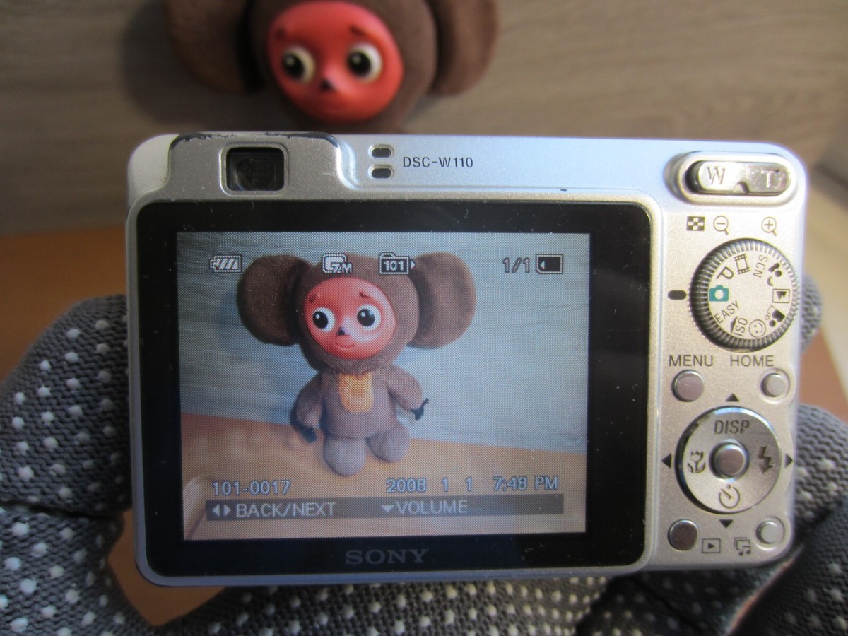 Sony Cyber-Shot DSC-W110 7.2MP Digital Camera 4X Zoom