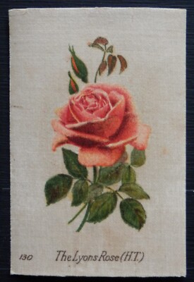 THE LYONS ROSE British Roses von British American Tobacco 1924 SEIDE