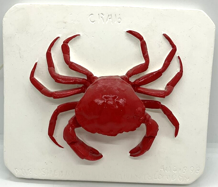 大セール 特大20センチ博物館 The Brucciani Collection Red Crab Plaster Wall Hanging Brucciani Collection of Moulds