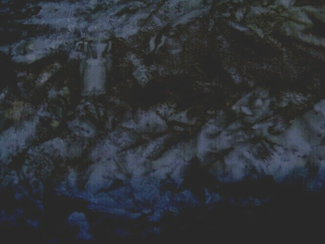 Picture 1 of 1
