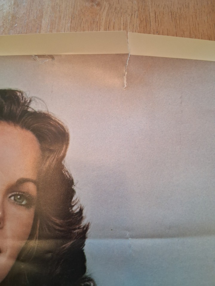 Vintage 70's Jaclyn Smith Say Yes Wine Martini & Rossi Advertising ...