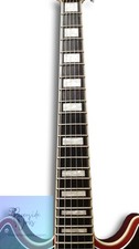 D'ANGELICO Electric Guitar Premier Brighton Oxblood