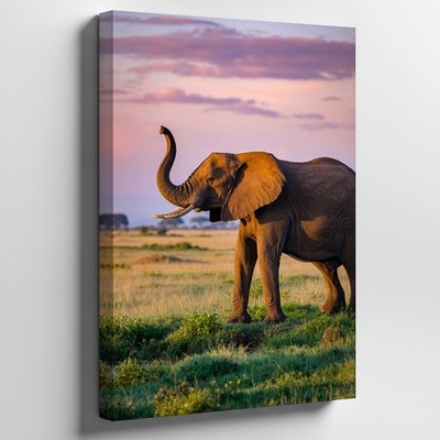 Majestic Elephant Stands Gracefully In An Expansive Grassy Plain, Its Wall Art