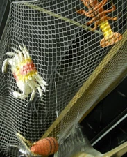 Authentic Decorative Fishing Net