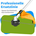 Bild 5 von 40
