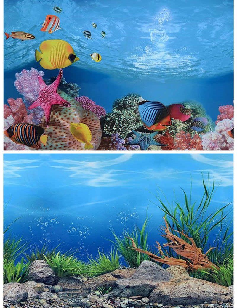Aquarium Background Poster