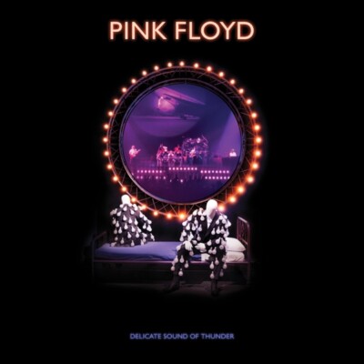 PINK FLOYD - DELICATE SOUND OF THUNDER (2019 REMIX) (LIVE) SOFTPAK 2 CD NEU