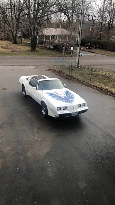 Pontiac Trans Am Cars for sale | eBay