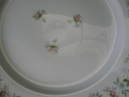 Four Johann Haviland Bavaria Forever Spring Ceramic Dinner Plates - Picture 4 of 9