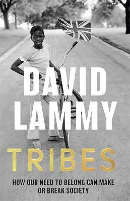 Tribes: A Search for Belonging in a Divided Society by David Lammy...