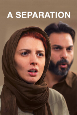 Separation Movie Print Drama Film Painting Wall Art Home Decor - POSTER 20x30