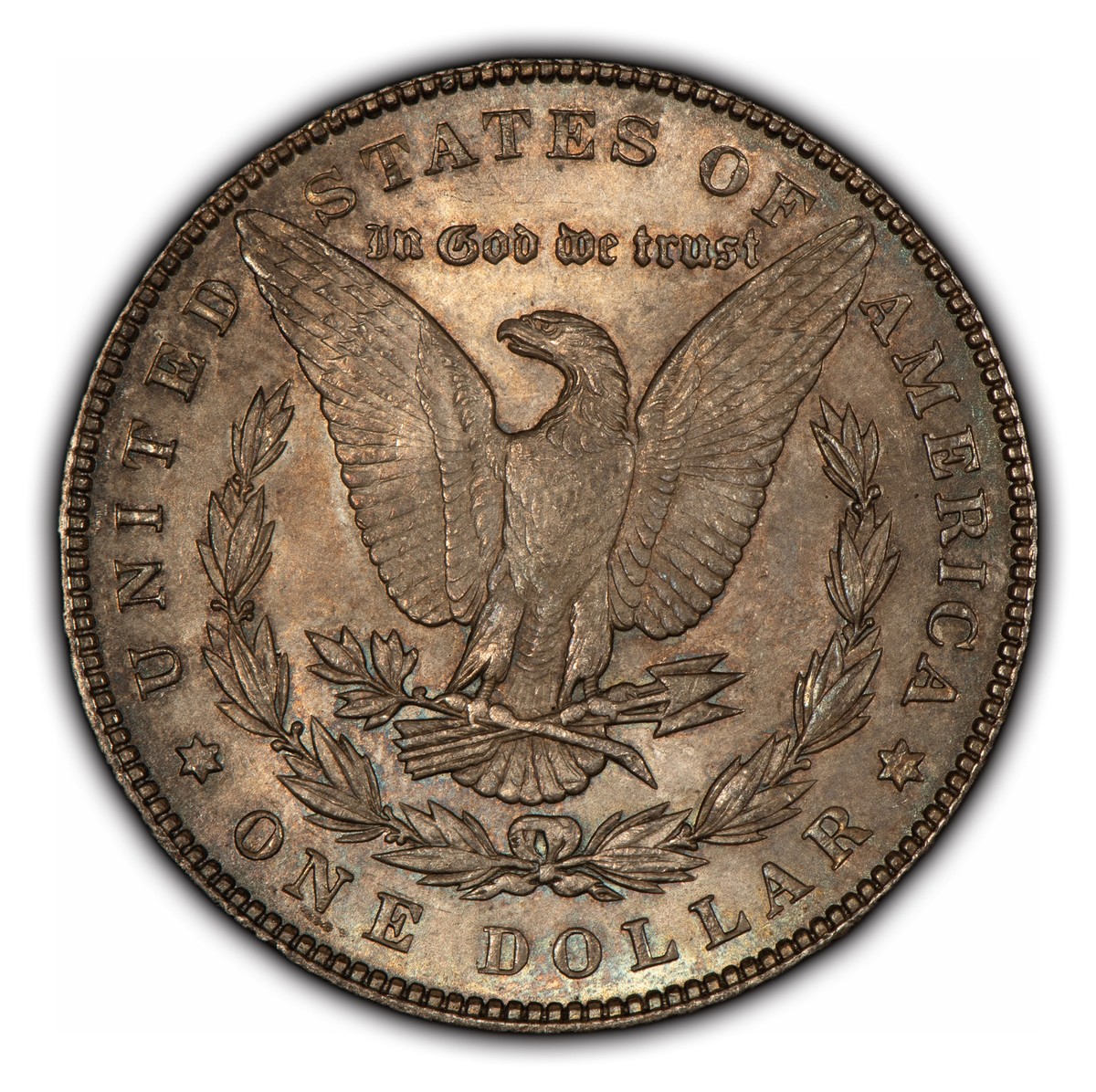 GMIS111○domani / ドマーニ Morganton モーガントン サ GMIS111