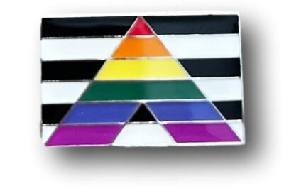 Ally Flag Magnetic Pin 1'' - Magnetic Backing