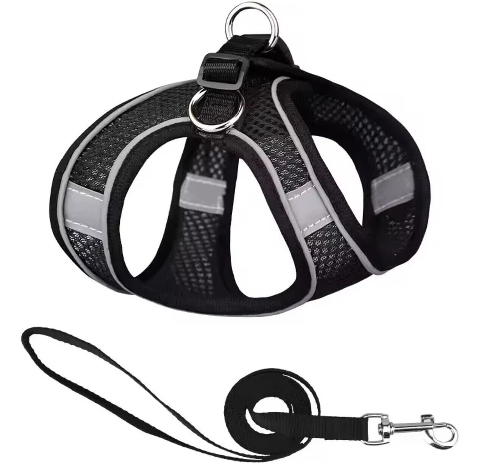 Katzengeschirr und Hundegeschirr für kleine Hunde inklusive passender Leine. - Bild 2 von 4