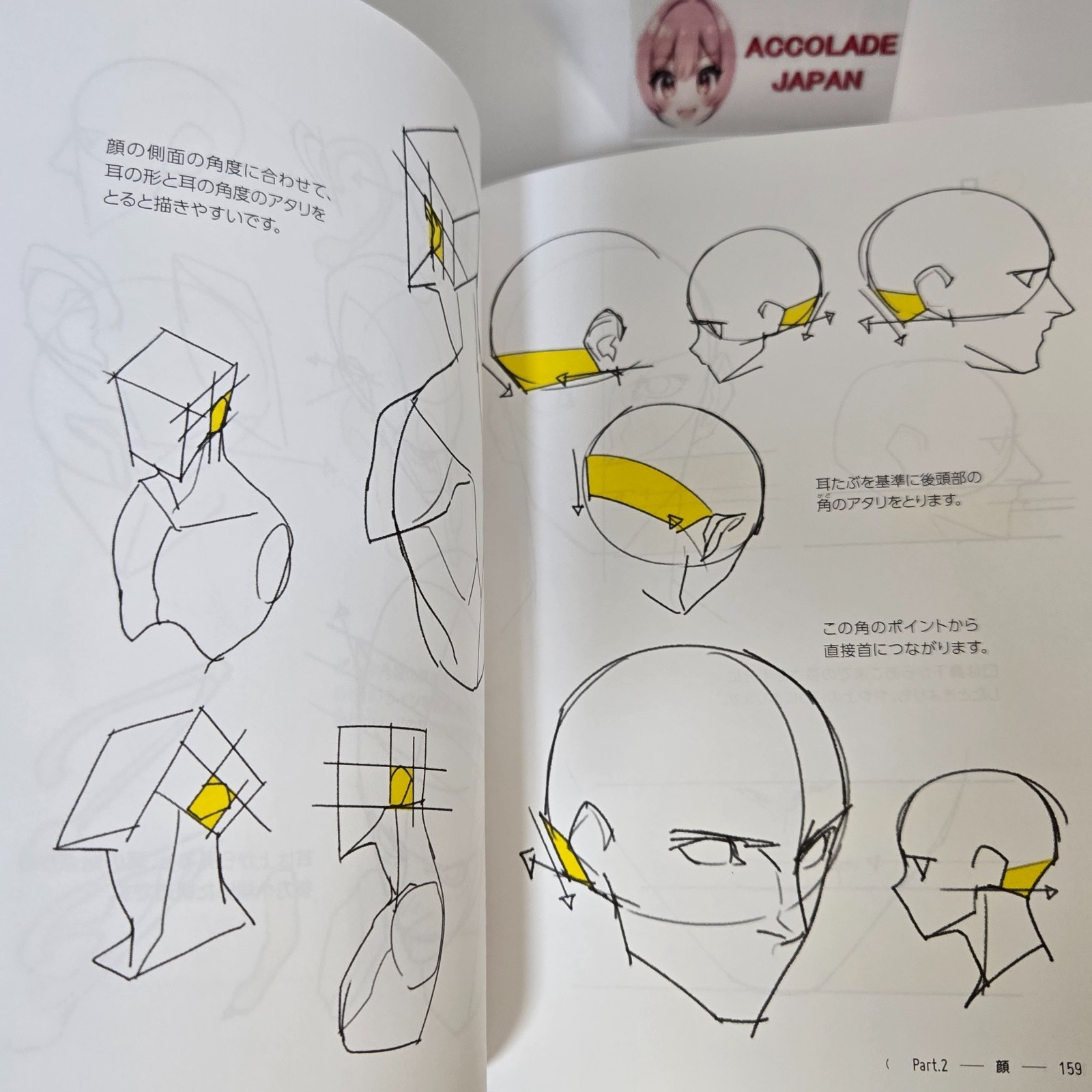 Directly from TACO! 390 tips for dramatically improving your human body drawing