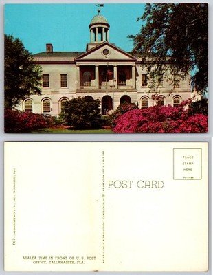 US Post Office Tallahassee FL Azalea Time Postcard