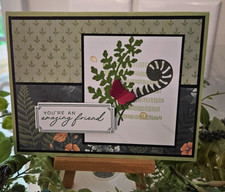 Stampin UP CARD KIT -FERNS YOU'RE AN AMAZING FRIEND Makes 4 - Set 26.388
