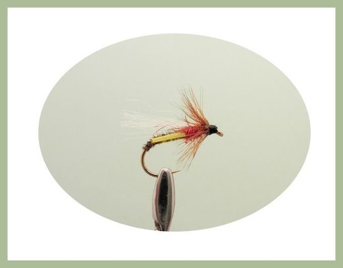 40 Emerger Trout Flies boxed set WITH SNATCHERS, Fly Fishing BOX37 - Picture 8 of 11
