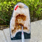 Bild 12 von 12