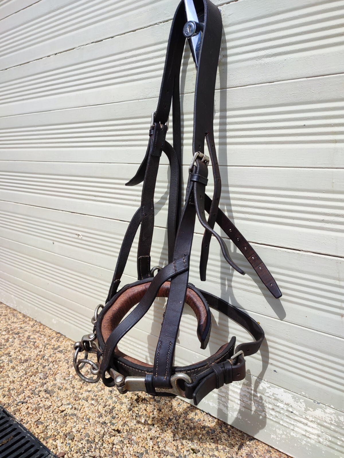 English Leather Lunge Cavesson Full Size eBay