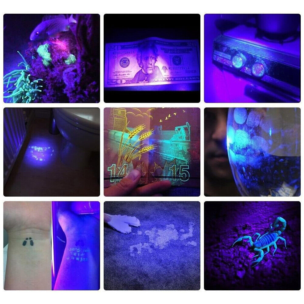 UV Lampe LED Taschenlampe 5W 365nm Scorpion Bernstein Schwarzlicht Handlampe DHL
