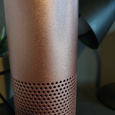 Amazon Echo 1st generation - Rose Gold Finish | eBay UK