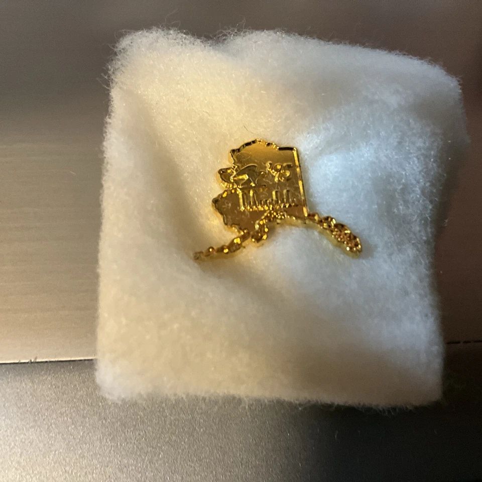 State of Alaska Vintage Lapel Pin gold tone AVON with box - Image 4 of 4