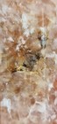 Bild 19 von 21