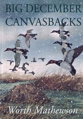 Worth Mathewson Big December Canvasbacks, Revised (Taschenbuch)