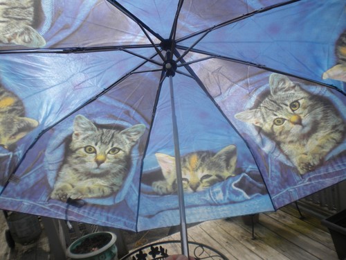 Umbrella Cats Wood Handle - Picture 2 of 2