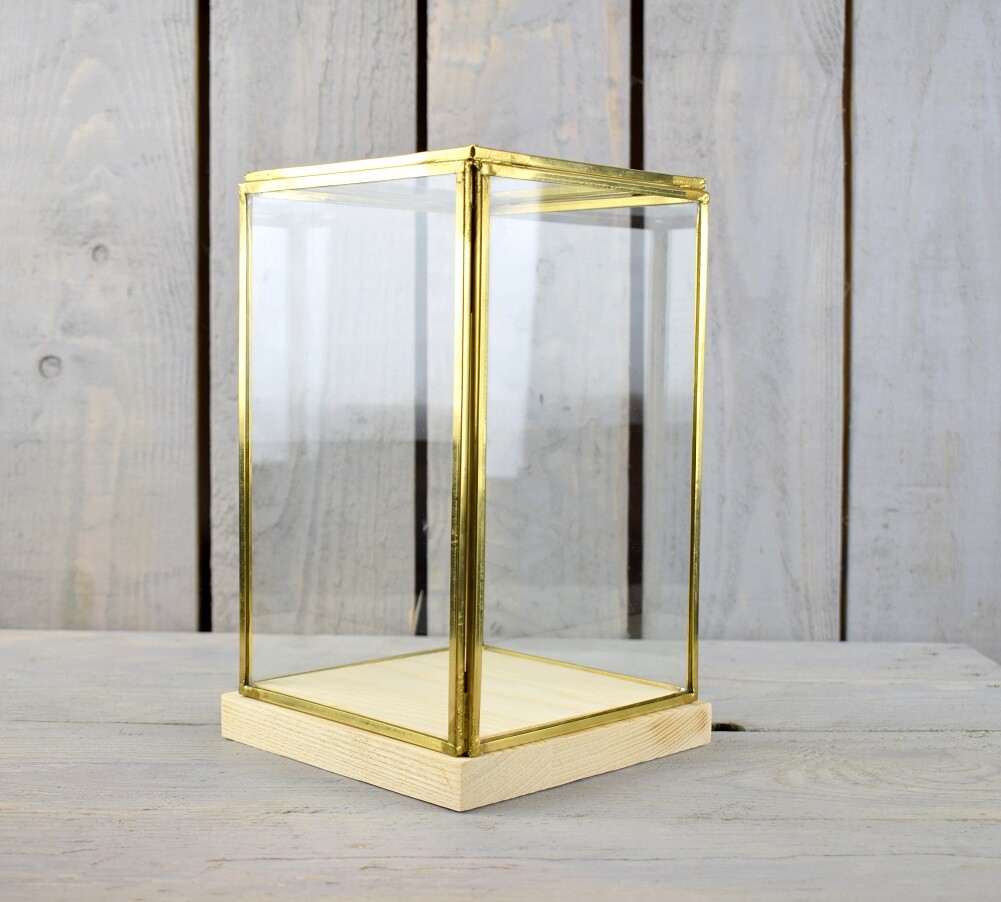 Glass and Brass Display Showcase Box Dome with Wooden Base Tall 23.5 cm