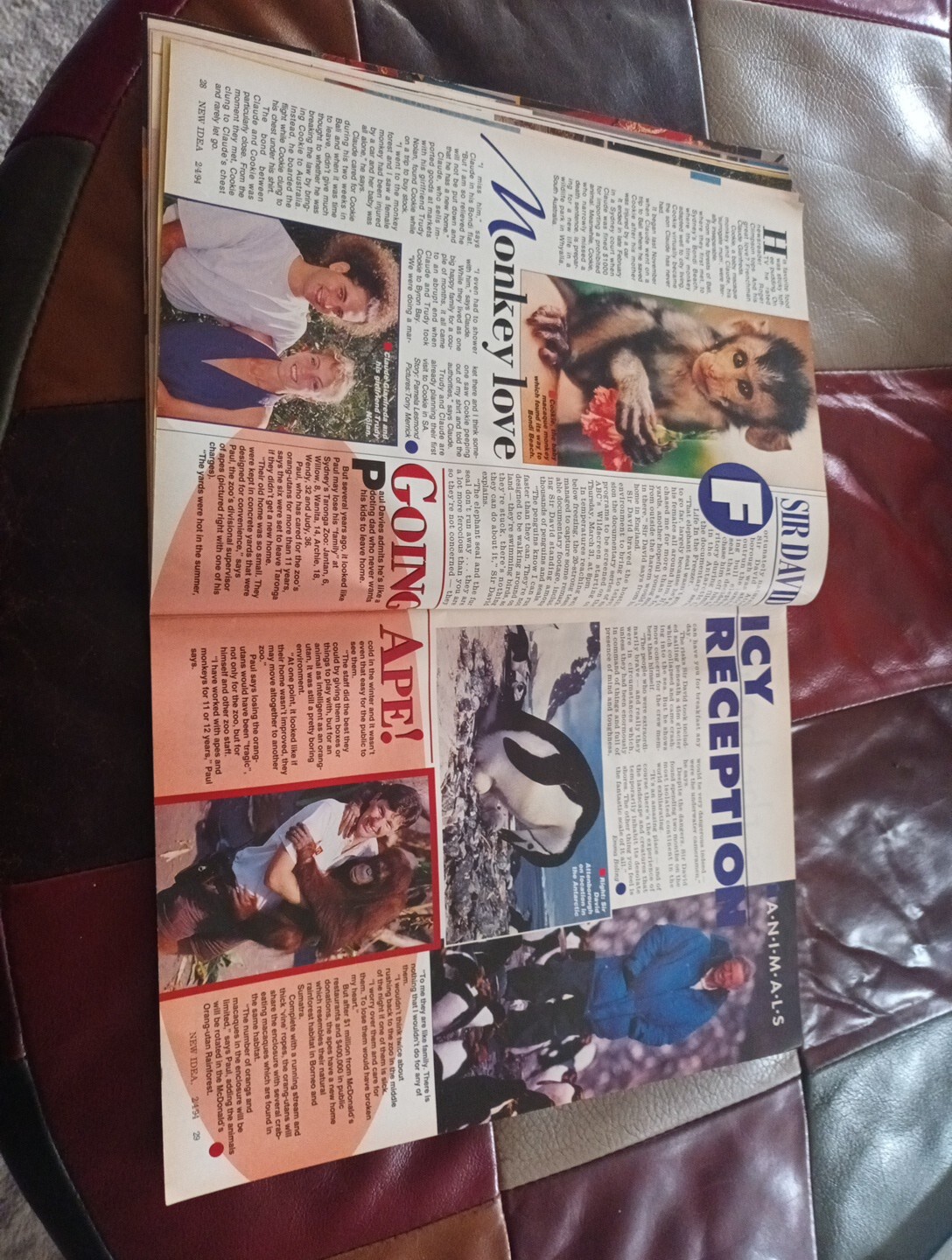 PETA TOPPANO,  ALYSSA-JANE COOK ,BARBARA EDEN, CHRISTY TURLINGTON, LESLIE NIELSE