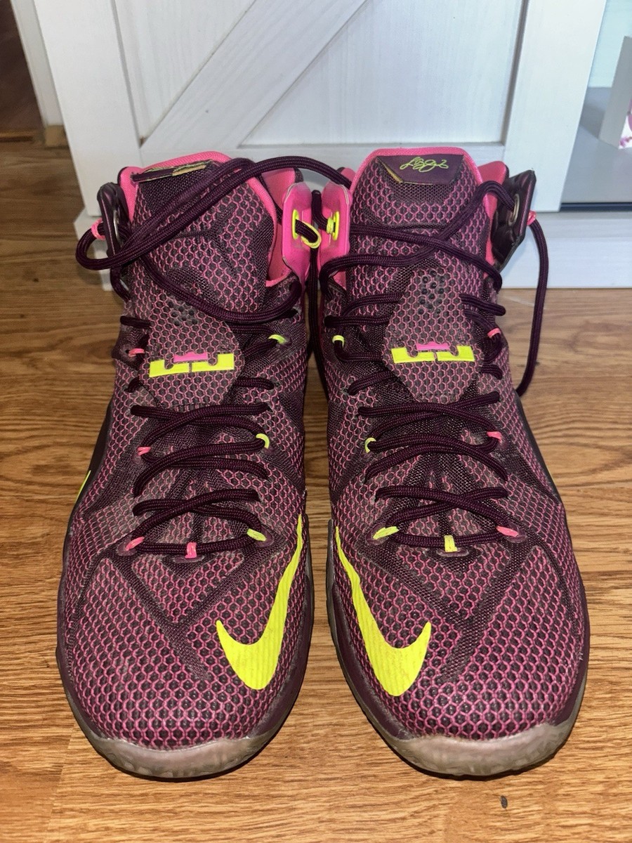 lebron shoes size 12