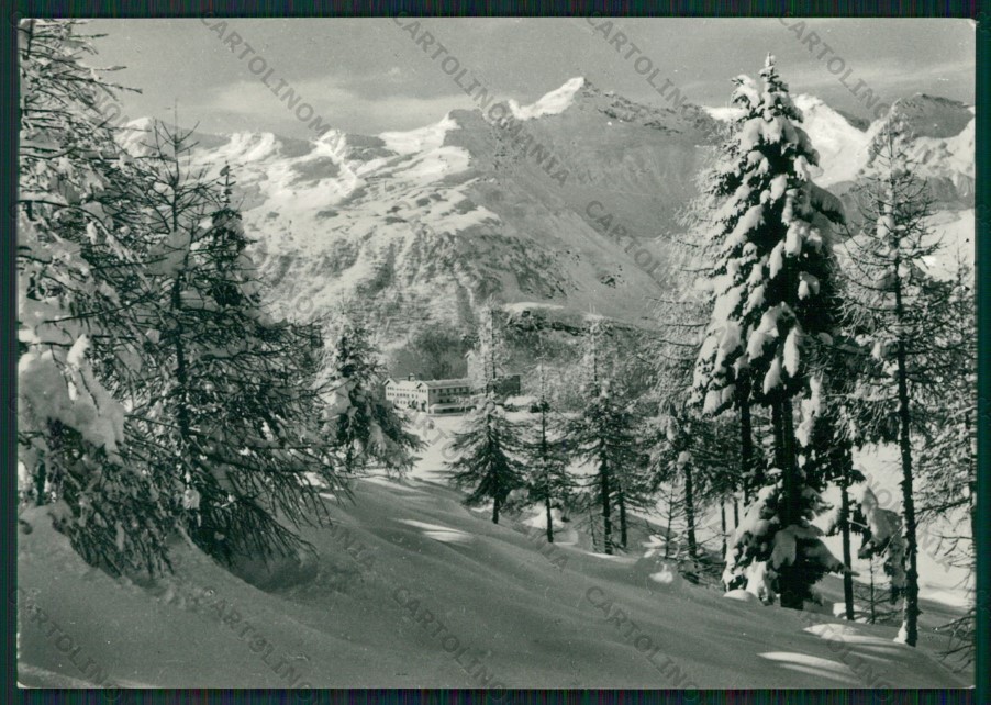 Sondrio Campodolcino Nevicata Foto FG cartolina KV9210