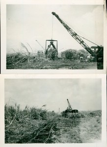 1940s WWII US Army soldier's Hawaii 2 Photos crane loads sugar cane train cars