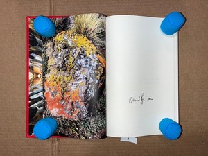 David Byrne Book | eBay