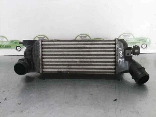 Intercooler radiator