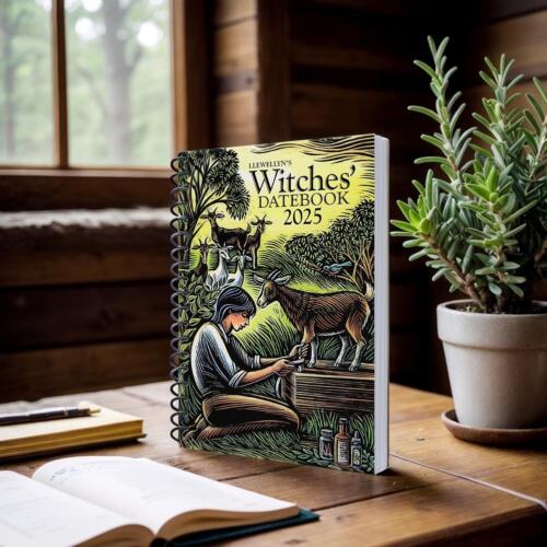Llewellyn's 2025 Bound Witches' Datebook! NEW - Picture 9 of 11
