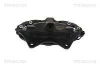 Triscan Bremssattel 8175 81204 FüR Tesla Model 100D AWD 60D 70D 75D 85D 90D P85