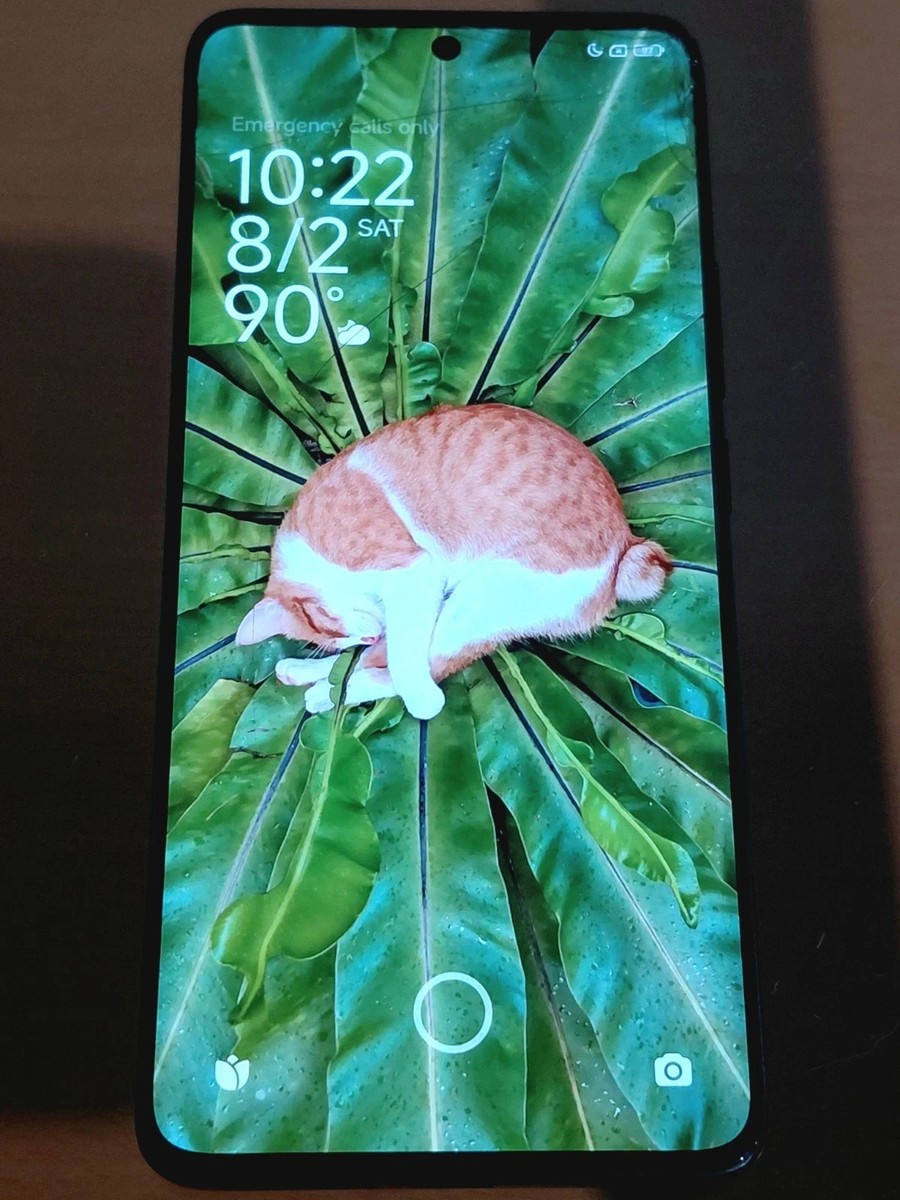 Xiaomi 13 Pro - 512 GB - Black (Unlocked) for sale online | eBay
