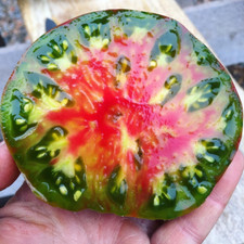 240 Ananas Noire Tomato Seeds - Black Pineapple --- Heirloom - Organic --- RARE
